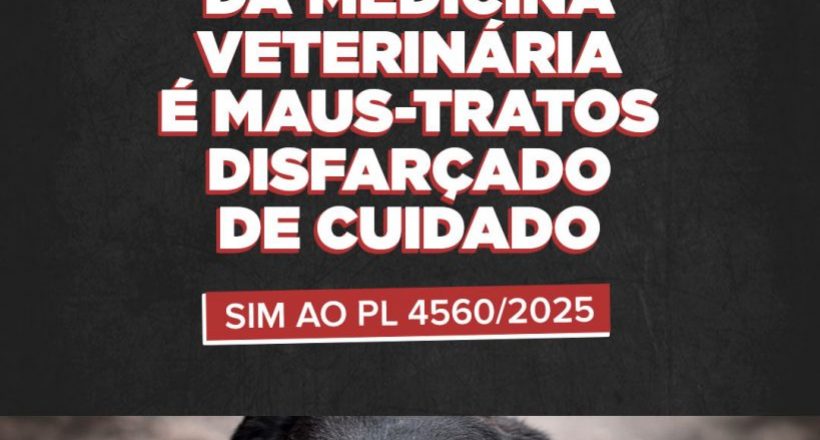 23022026-Slider-Exercício-Ilegal-da-Medicina-Veterinária-é-Maus-Tratos-Disfarçado-de-Cuidado