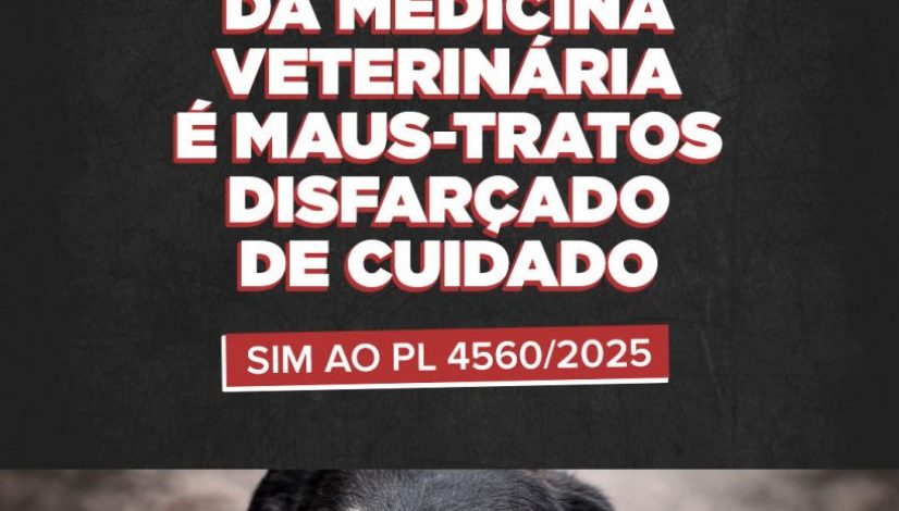 23022026-Slider-Exercício-Ilegal-da-Medicina-Veterinária-é-Maus-Tratos-Disfarçado-de-Cuidado
