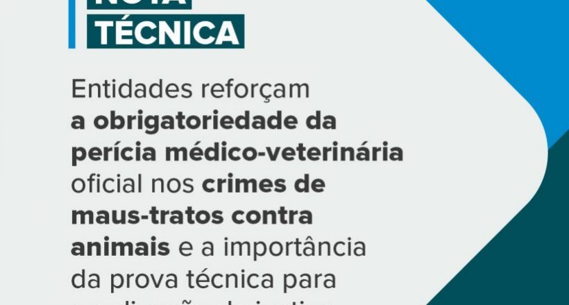 WhatsApp Image 2026-02-05 at 16.59.59