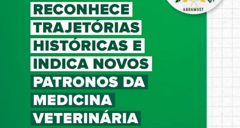 WhatsApp Image 2026-02-06 at 15.52.17