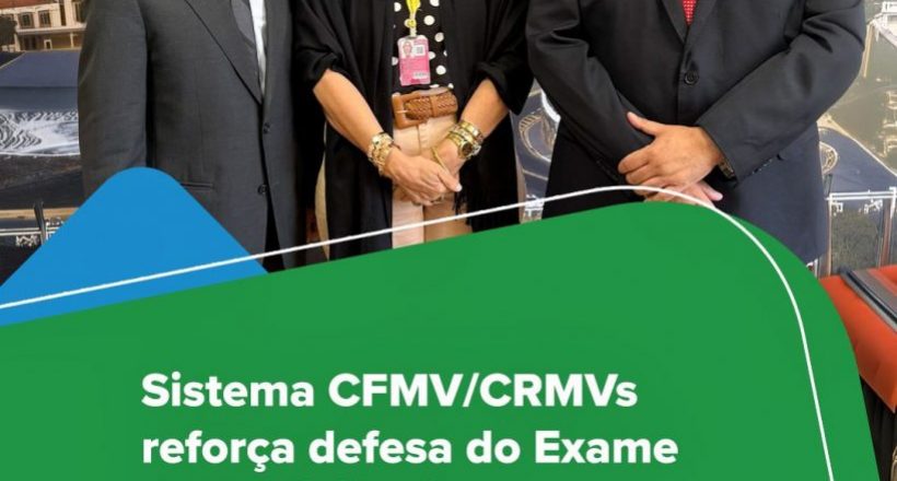 WhatsApp Image 2026-02-10 at 16.00.24