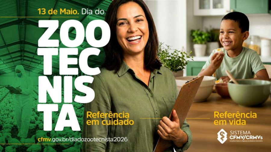 estudo-linha-1
