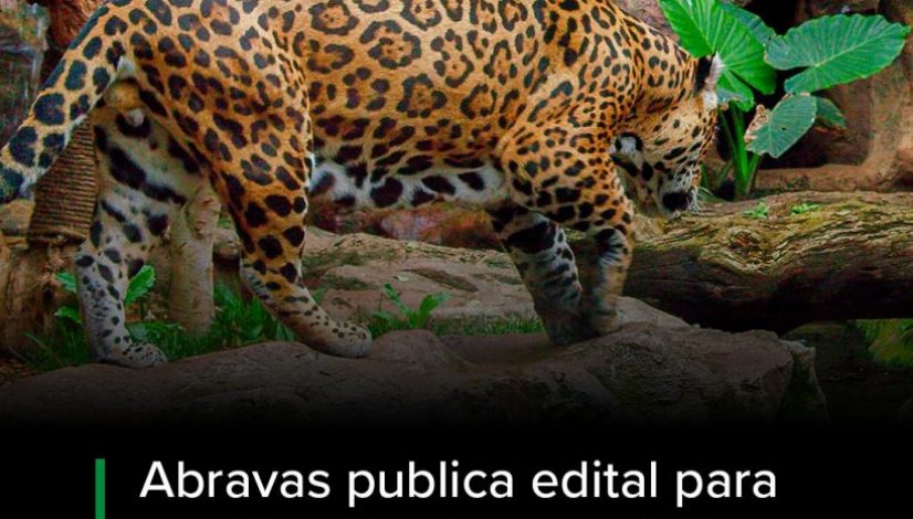 abarvas