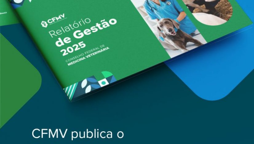 27052026-Relatório-de-Gestão-2025