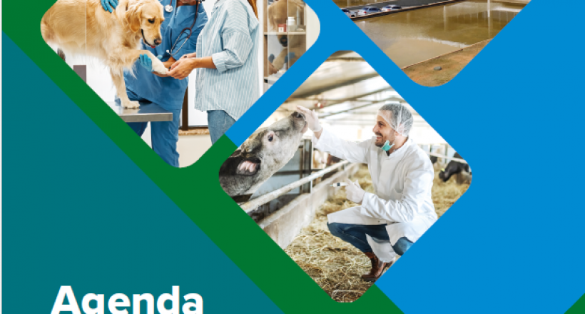 agenda