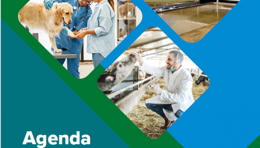 agenda
