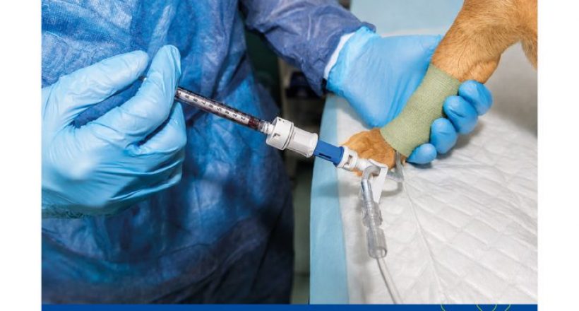 Manual-para-Serviços-de-Terapia-Antineoplásica-Capa