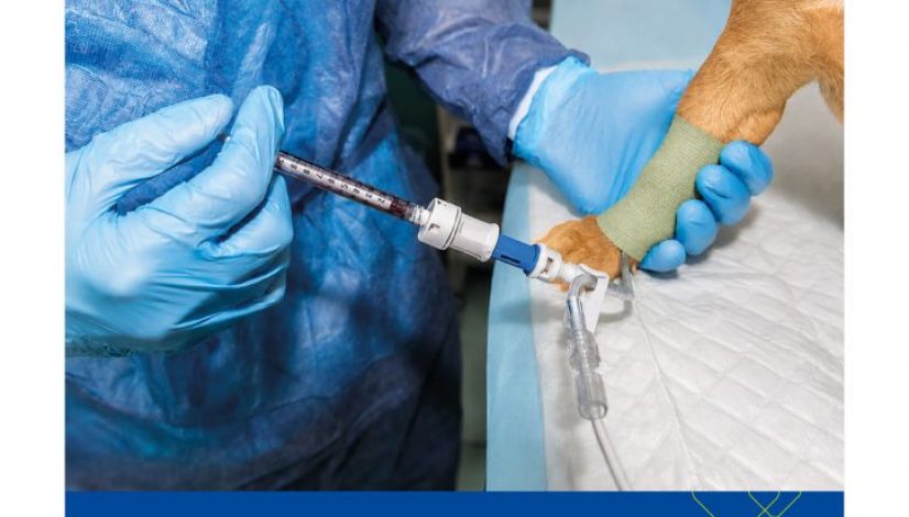Manual-para-Serviços-de-Terapia-Antineoplásica-Capa