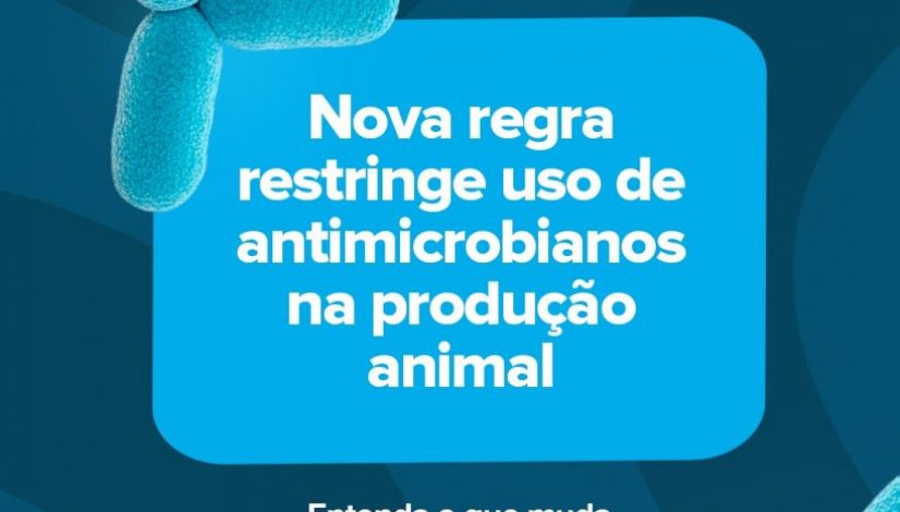 Antimicrobianos na produção animal